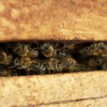 pexels ironic 702931