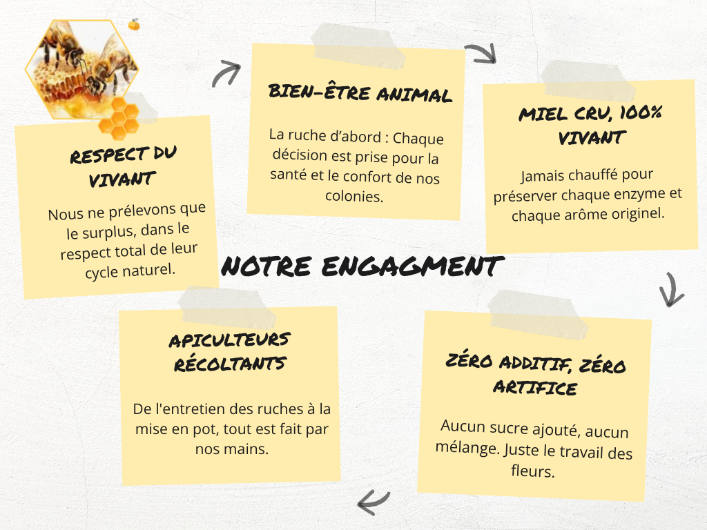 carte mentale graphique post it moderne simple